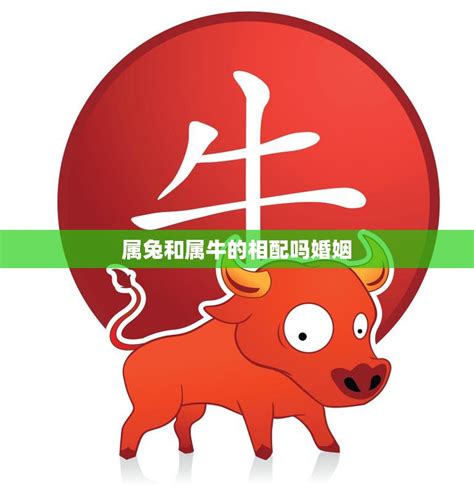 牛兔相配|属兔和属牛的合不合 属兔和属牛的合不合婚姻